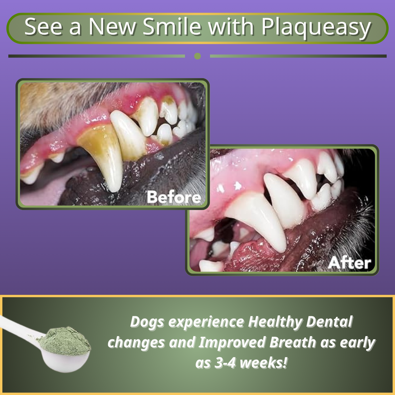 Plaqueasy Dental Powder