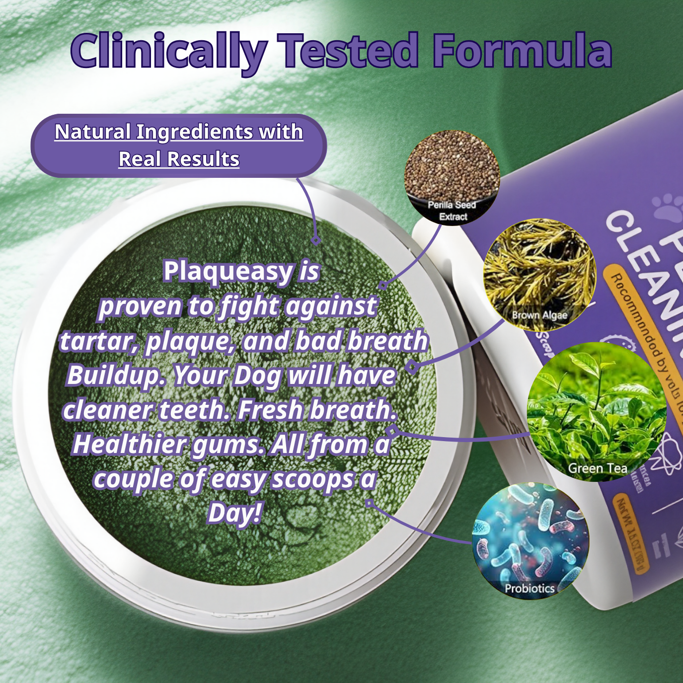 Plaqueasy Dental Powder