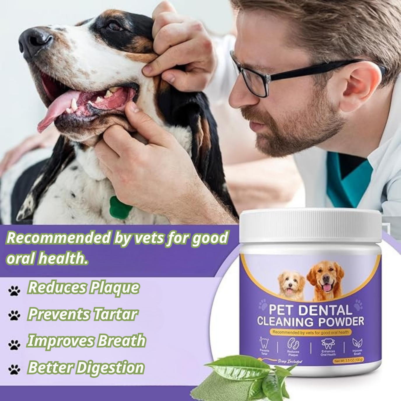 Plaqueasy Dental Powder