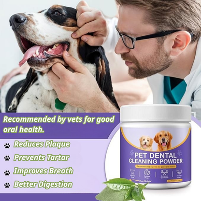 Plaqueasy Dental Powder